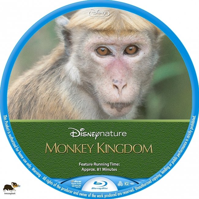 Monkey Kingdom  R1 Custom Blu-Ray Label 
