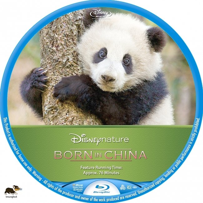 Born in China (2016) R1 Custom Blu-Ray Label 