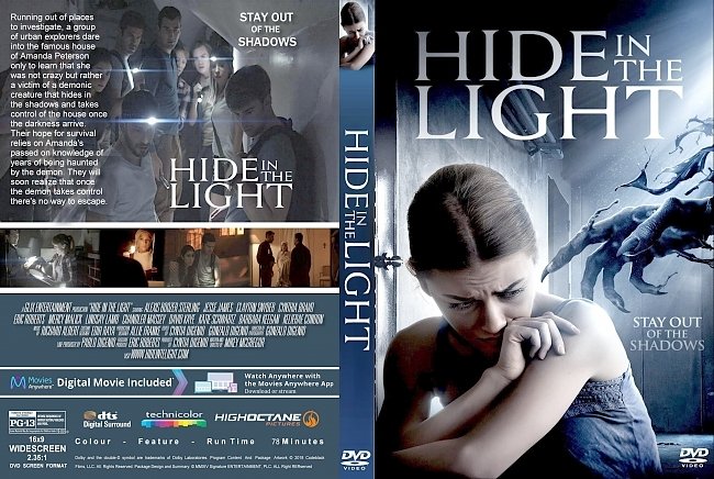 Hide In The Light (2018) R1 CUSTOM DVD Cover & Label 