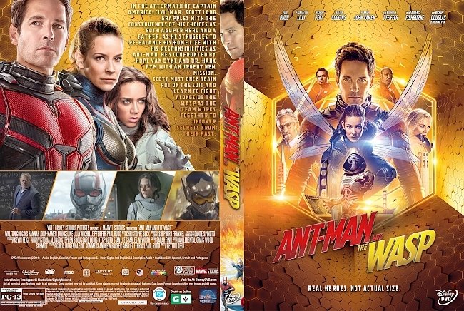 Ant-Man and the Wasp (2018) R1 Custom DVD Cover 