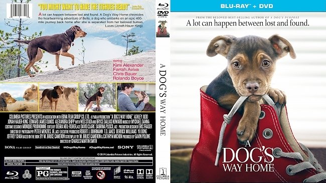 dvd cover A Dog's Way Home Bluray Cover