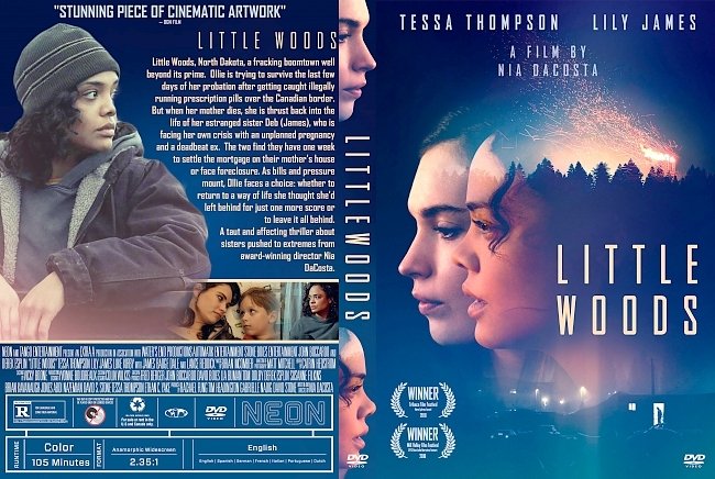 dvd cover Little Woods DVD Cover