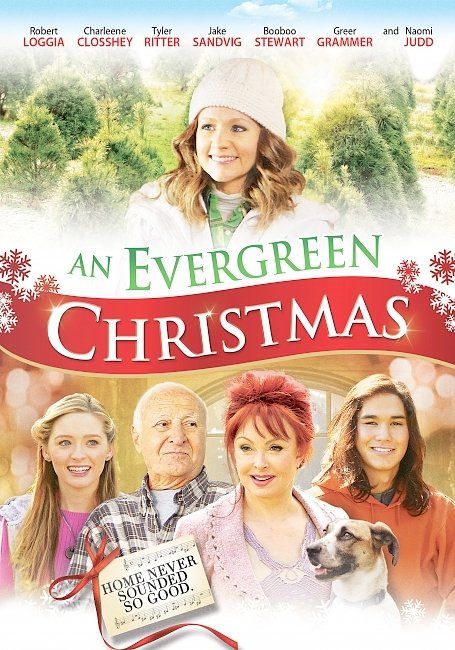 dvd cover An Evergreen Christmas 2014 Dvd Cover